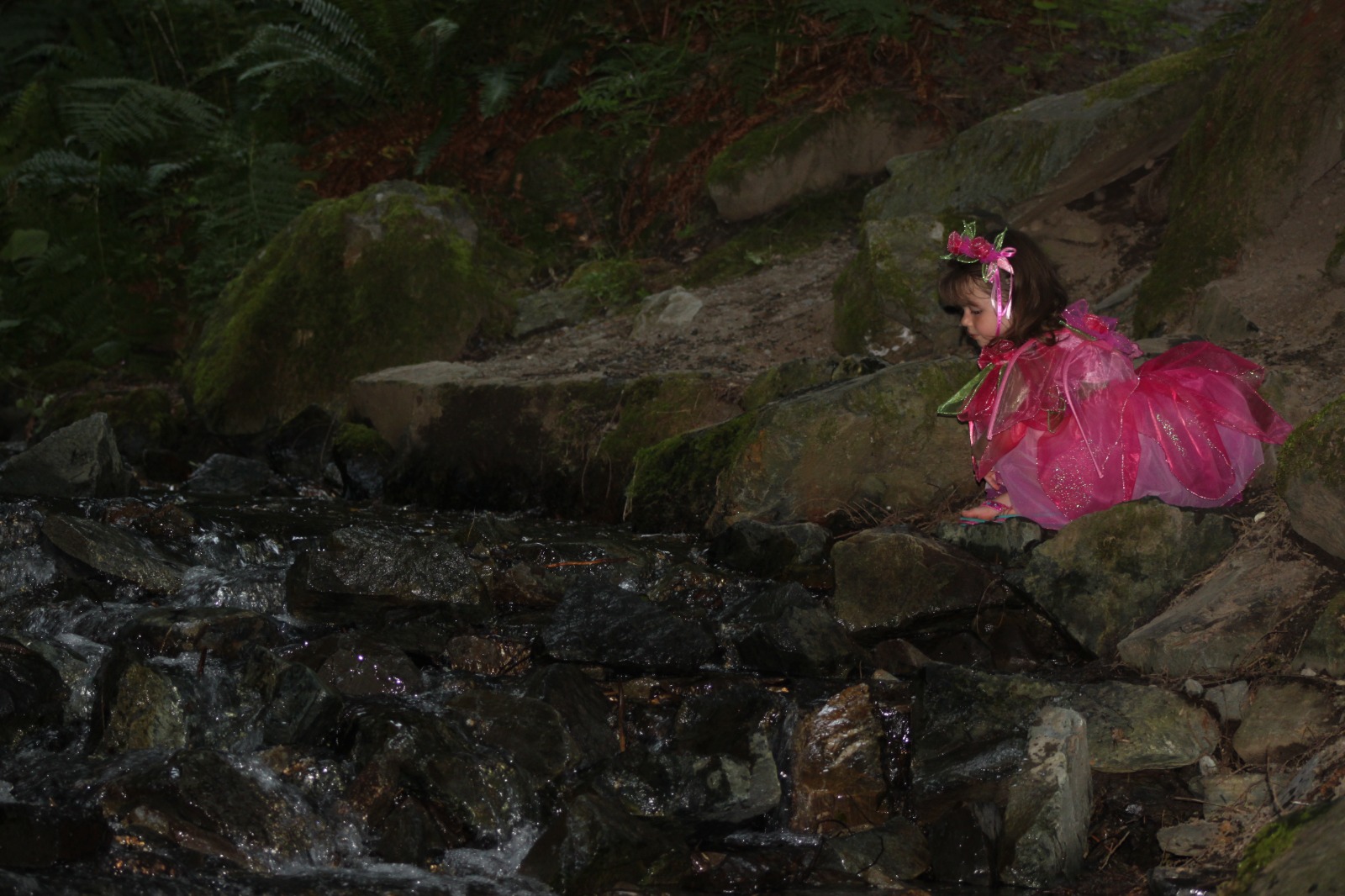 WhatsApp Image 2025-03-06 at 10.24.01 PM (1) (1)