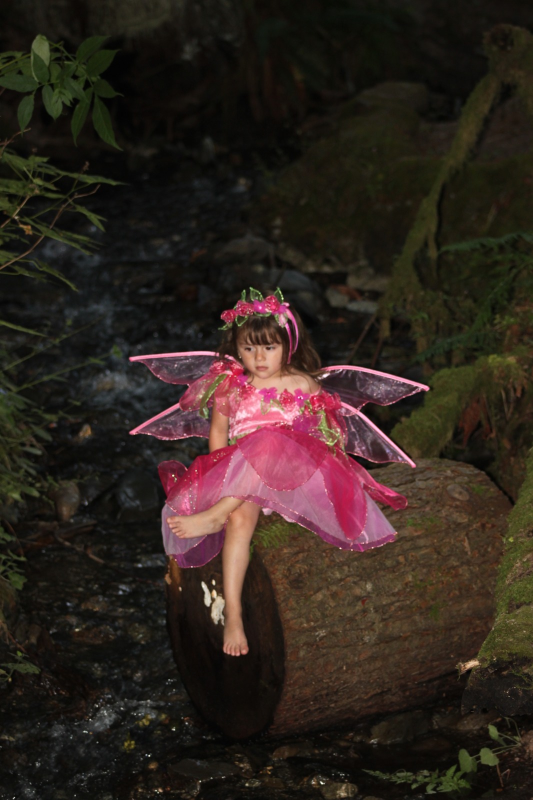 WhatsApp Image 2025-03-06 at 10.24.10 PM (1) (1)